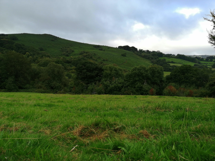 Lush green meadow in the foreground, stretching towards a gently sloping hill covered in dense, dark green vegetation. Beyond the hill, more rolling hills and fields are visible under a cloudy sky. The overall scene is peaceful and evokes a sense of rural tranquillity.