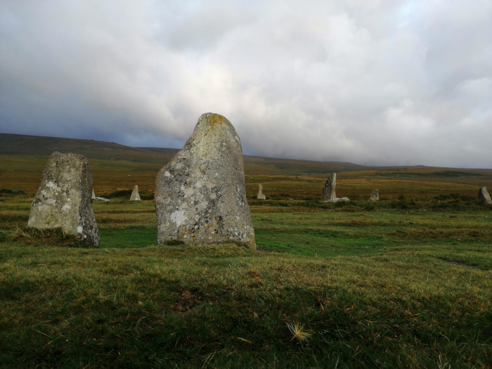 Collection of standing stones, possibly a stone circle or part of one, set in a grassy field under a cloudy sky. The stones are various sizes and shapes, weathered grey, and appear ancient. The overall mood is one of quiet solitude and historical significance. The landscape is seemingly open and somewhat desolate, emphasising the age and isolation of the stones.