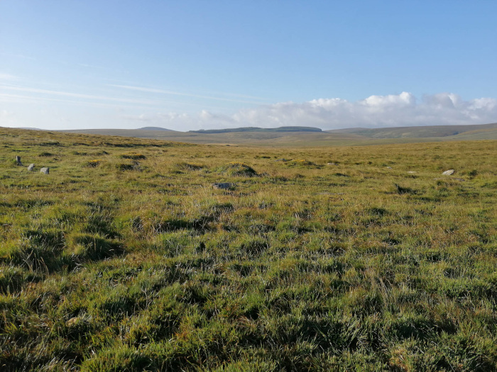 Vast, expansive moorland landscape under a clear blue sky. The foreground is dominated by short, uneven grass covering the ground. In the distance, low hills rise gently against the horizon, which is partially obscured by a band of clouds. A few scattered rocks are visible in the foreground, suggesting a sense of openness and quiet solitude. The overall impression is one of tranquil, untouched nature.