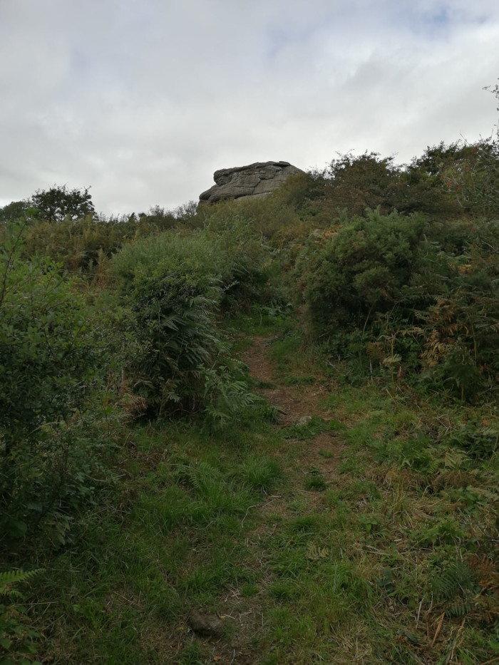 Dirt path leading uphill through overgrown vegetation towards a large rock formation in the distance. The sky is overcast. The overall impression is one of a quiet, natural setting.