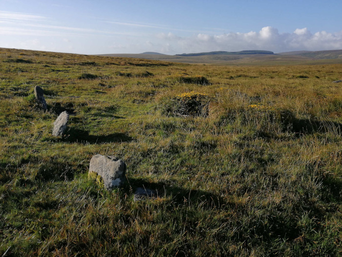 Wide, open expanse of grassy moorland under a mostly clear sky. Several stones, possibly remnants of a stone structure or cairn, are scattered across the foreground. In the distance, a low hill or ridge line is visible on the horizon. The overall impression is one of remote, untouched wilderness.