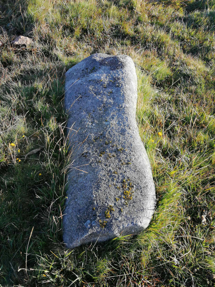 Large, grey, oblong rock lying on its side in a patch of short, green grass. The rock appears weathered, with patches of lichen or moss visible on its surface. The grass is relatively sparse, and a few small yellow flowers can be seen near the rock. The overall impression is one of a natural, somewhat desolate setting.