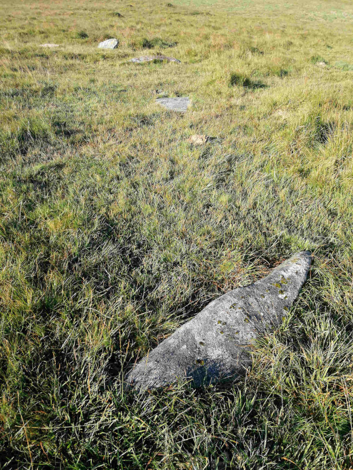 Grassy field with several large, flat stones scattered across it. The stones appear weathered and are partially embedded in the grass. One large, elongated stone is prominent in the foreground. The overall impression is one of a quiet, possibly ancient, landscape.
