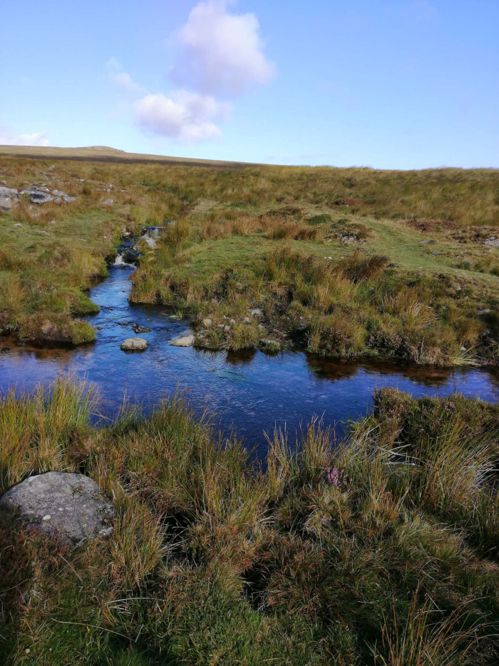 Tranquil stream flowing through a serene, grassy landscape under a clear blue sky. The water is dark and reflective, with patches of green and brown vegetation surrounding it. A distant, slightly elevated landmass is visible in the background.