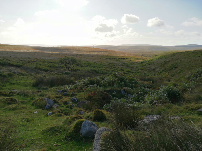 Vast, undulating landscape of green moorland under a partly cloudy sky. The foreground is closer and shows patches of low-lying vegetation, rocks and grasses, while the middle ground and background reveal a sweeping vista of hills and valleys extending to the horizon. The overall feeling is one of serenity and openness, characteristic of a remote, unspoiled natural environment.