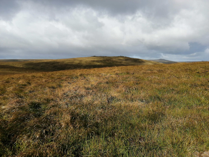 Vast, undulating expanse of moorland under a cloudy sky. The foreground and mid ground are dominated by tall, dry-looking grasses in various shades of brown and green. In the distance, a low hill or ridge rises gently against the horizon. The overall impression is one of open space, quietude, and perhaps a somewhat bleak, but beautiful, natural landscape.