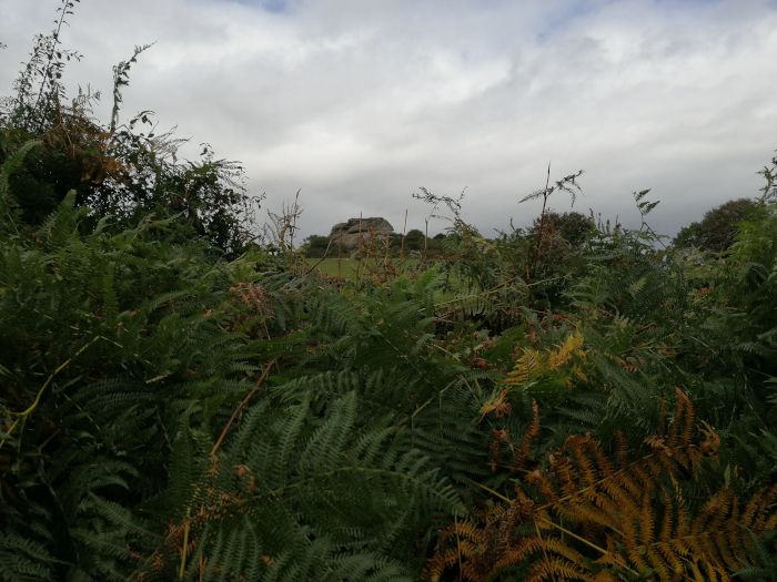 Rocky outcrop in the distance, partially obscured by a dense thicket of ferns and other vegetation in the foreground. The sky is overcast, and the overall mood is somewhat muted and atmospheric. The ferns show a mix of green and autumnal brown/yellow hues.