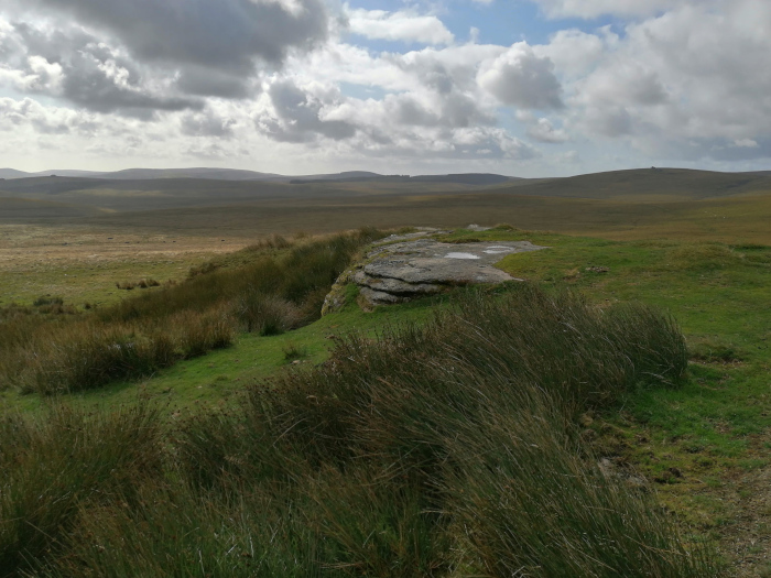Vast, open moorland landscape under a partly cloudy sky. In the foreground, there's a rocky outcrop partially covered in grass, with tall grasses dominating the immediate foreground. The mid-ground and background display rolling hills and a wide expanse of moorland, suggesting a remote and possibly sparsely populated area. The overall mood is serene and somewhat desolate.
