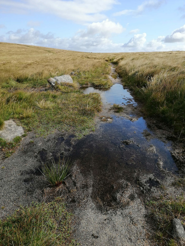 Path across a moorland landscape. A small stream or run-off of water meanders along the path, creating puddles in the otherwise dry ground. The vegetation is predominantly grasses and low-lying plants typical of a moorland environment. A few rocks are scattered around, and the overall colour palette is muted browns and greens, accented by the blue of the sky and the reflections in the water.