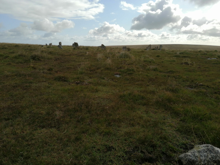 Wide, flat expanse of low-lying, brownish-green vegetation under a partly cloudy sky. In the mid-ground, a line of upright stones, possibly a stone row or part of a larger ancient structure, is visible. The overall impression is one of a remote, possibly desolate, but historically significant landscape.
