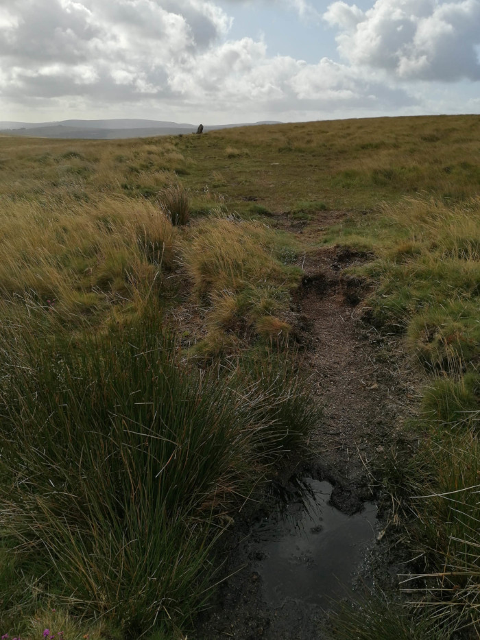 Single, large, grey-brown, irregularly shaped standing stone, partially embedded in the ground in a grassy moorland setting under a cloudy sky. The stone is tall and narrow, appearing somewhat weathered. The surrounding landscape is flat and expansive.