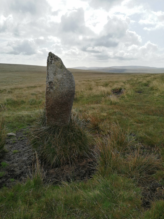 Single, large, grey-brown stone standing upright in a grassy field under a cloudy sky. The stone is irregularly shaped, taller than it is wide, and appears to be weathered. The field stretches out to a distant horizon. The overall impression is one of isolation and stillness.