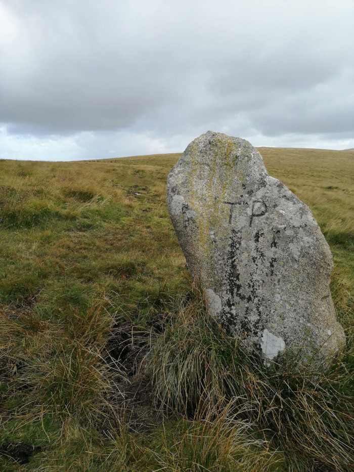 Large, grey, weathered stone standing upright in a grassy field under a cloudy sky. The stone is irregularly shaped and has some lichen or staining on its surface. There are faint markings, possibly initials or graffiti, visible on one side. The field appears somewhat desolate and the overall mood is sombre.