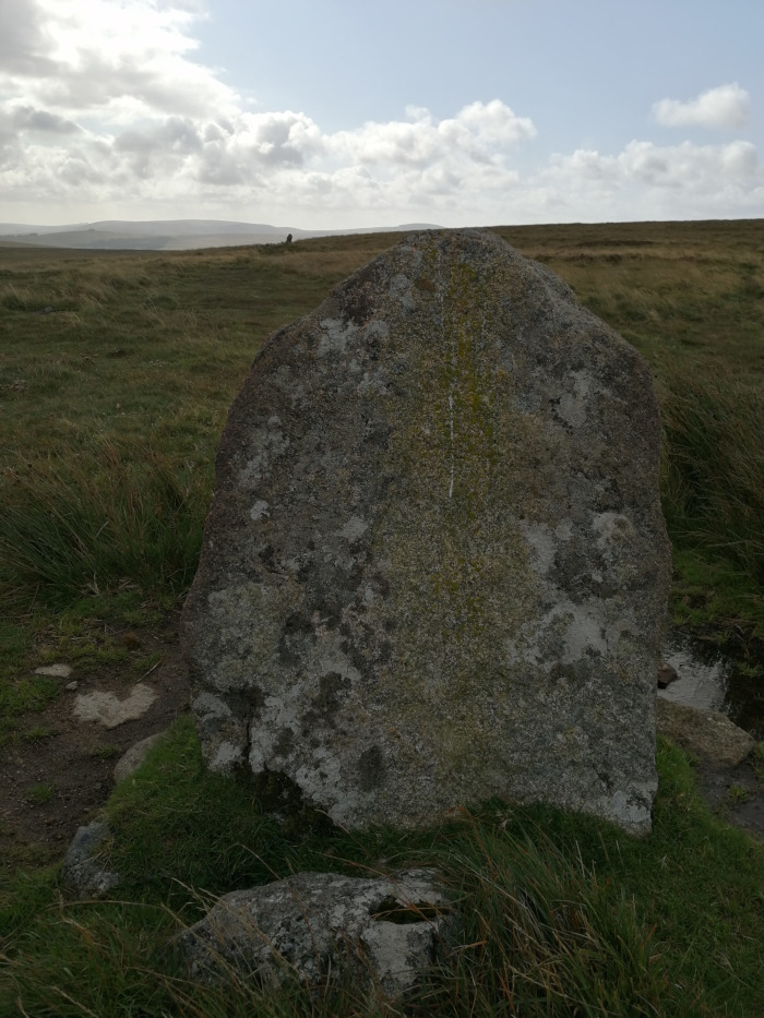 Large, grey, weathered stone sitting in a grassy field. The stone is roughly oval-shaped and appears to be a natural rock formation, possibly a glacial erratic or standing stone, rather than a deliberately placed monument. The background is a gently rolling landscape under a partly cloudy sky.