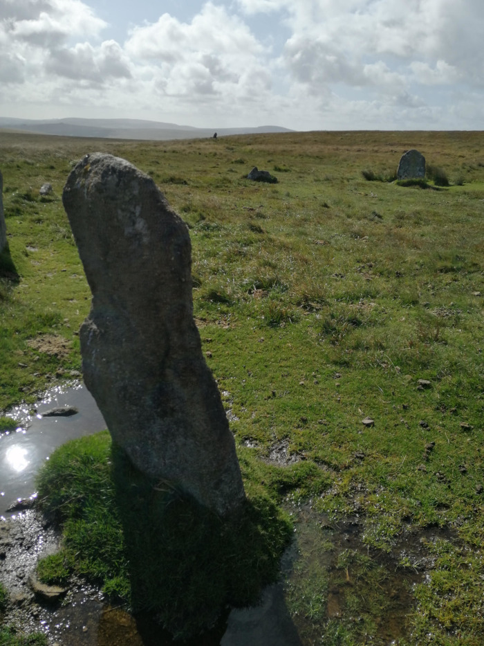 Landscape with several large standing stones, characteristic of a prehistoric stone circle or similar monument. One stone is prominently featured in the foreground, leaning slightly. The setting appears to be a grassy moorland under a partly cloudy sky. Small pools of water are visible around the stones.