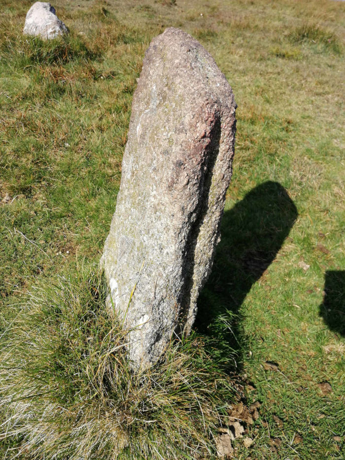Tall, slender, grey stone standing upright in a grassy field. The stone appears weathered and shows signs of age. A portion of a second, smaller stone is visible in the background. The scene is outdoors, bathed in sunlight, casting a shadow of the stone onto the grass.