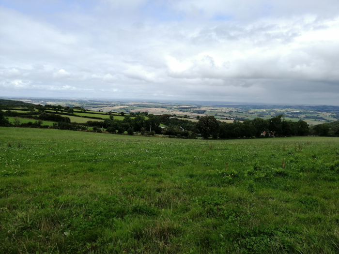 Panoramic view of a rolling green landscape under a cloudy sky. The foreground is dominated by a grassy field, leading the eye towards a line of trees and hedgerows that mark a gentle slope down to a broader, seemingly cultivated valley stretching to the horizon. The overall impression is one of serene, rural countryside.