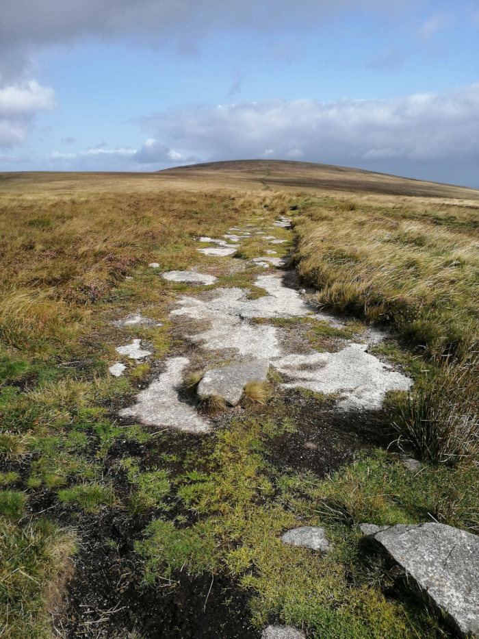 Path, possibly ancient, traversing a moorland landscape. The path is composed of light-coloured stones, partially covered with moss and grass, leading towards a distant hill under a partly cloudy sky.