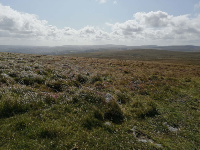 Vast, undulating expanse of moorland under a partly cloudy sky. The foreground is dominated by low-lying vegetation, primarily grasses and heather, with some scattered rocks. In the distance, a hazy view of a valley or low hills is visible.
