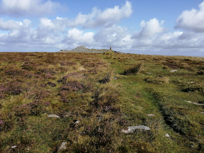 Grassy, upland landscape under a partly cloudy sky.  A faint, grassy path leads towards a small stone cairn or similar structure on a low rise in the distance. The foreground is patchy with low-lying vegetation, including what appears to be heather.