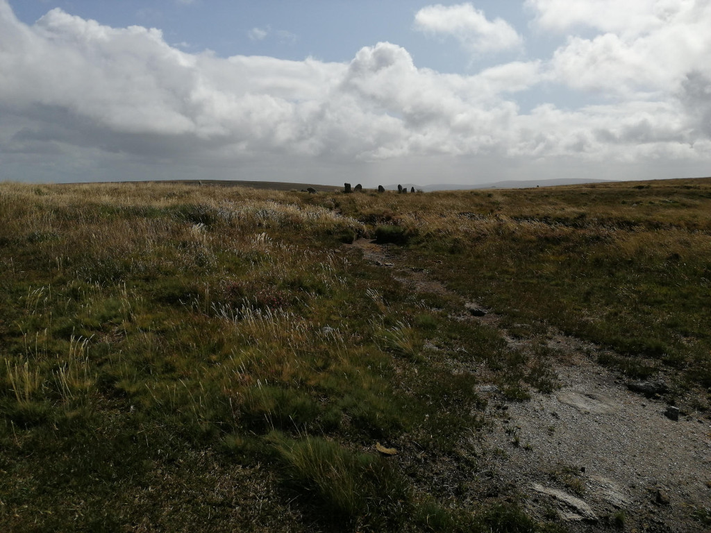 Dirt road or trail cutting through a vast, grassy moorland under a partly cloudy sky. In the mid-ground, a small cluster of stones or standing stones is visible on the horizon.