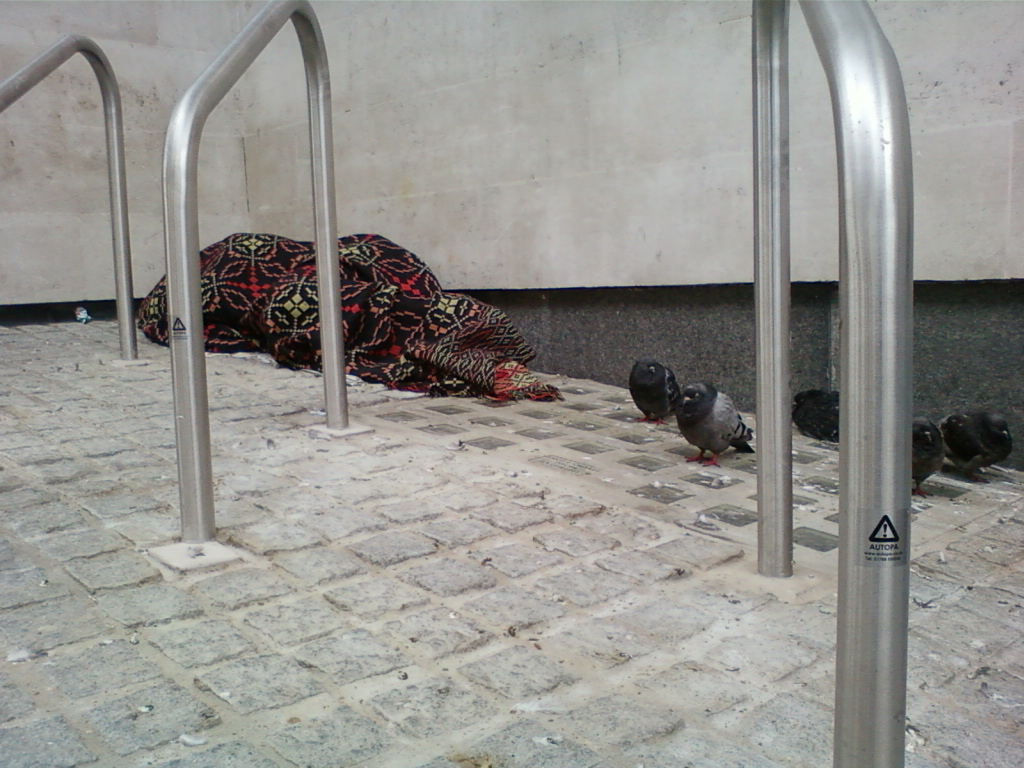 Person sleeping rough on a paved area, wrapped in a patterned blanket. Several pigeons are gathered nearby. The scene is framed by metal railings, suggesting a public space, perhaps outside a building. The overall impression is one of urban poverty and isolation.