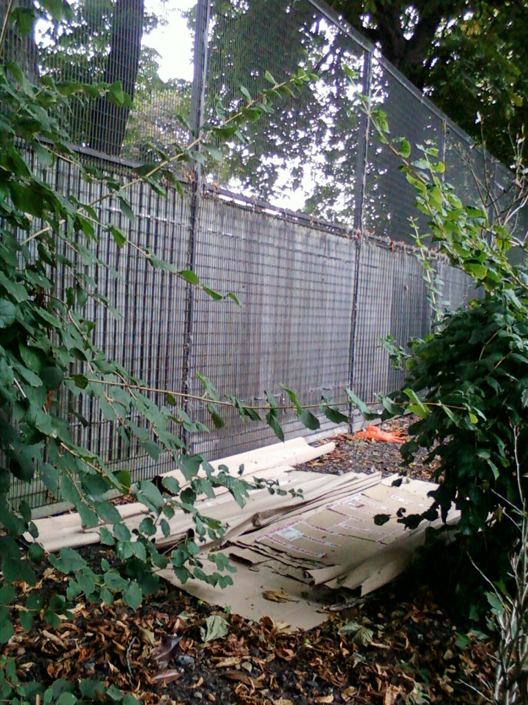 Section of a tall, chain-link fence partially obscured by overgrown vegetation.  On the ground at the base of the fence lies a pile of discarded cardboard and what appears to be some rolled-up sheeting or paper. Fallen leaves are scattered on the ground around the debris. The overall impression is one of neglect or abandonment in a possibly public or semi-public space.