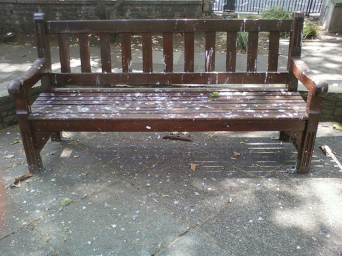 Dark brown wooden park bench heavily covered in white bird droppings. The droppings are also scattered on the ground around the bench. The setting appears to be a paved area in a park or similar outdoor public space. The overall impression is one of neglect or the natural consequences of the bench being in a location frequently used by birds.