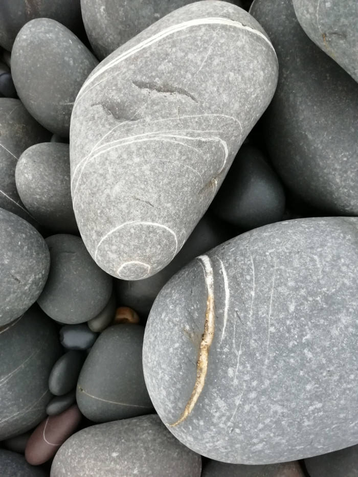 Close-up view of a collection of smooth, grey stones, likely found on a beach. Several stones exhibit prominent white and light-colored veins or lines running through them. The stones vary slightly in size and shade, creating a textured and natural arrangement. The overall impression is one of natural beauty and the simple elegance of geological formations.