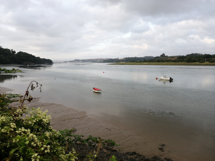 Tranquil river scene under a cloudy sky.  The river is calm and wide, with a muddy shoreline visible in the foreground. Two small boats are visible on the water; a small white motorboat and a red rowboat. The far bank of the river is lined with low-lying vegetation and trees. The overall mood is serene and somewhat muted due to the overcast sky.
