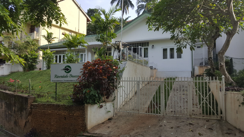 White, single-story house, identified as Riverdale Breeze by a green sign in the foreground. The house sits on a slight incline, with a light gray concrete driveway leading up to a white metal gate. The gate is composed of evenly spaced vertical bars with an X pattern near the bottom.  A short retaining wall separates the house from the driveway. Lush green grass and tropical landscaping surround the property. Mature trees, exhibiting a full crown and rich green foliage, are densely positioned behind and to the sides of the house. A partially visible, taller yellowish building can be seen to the left and behind the main house. The Riverdale Breeze sign is prominently positioned at the edge of the driveway, angled to indicate direction. The sign is dark green with white lettering and a stylised green arrow. Various plants, including rich dark red-leafed plants and greener foliage, are artfully arranged near the sign and against the retaining wall. The scene is set in a lush, tropical environment, likely Sri Lanka given the style of architecture. The lighting suggests it's daytime, with soft, diffused sunlight casting no harsh shadows. The overall color palette is serene, dominated by greens (foliage), whites (house and gate), and earth tones (driveway and retaining wall). The red-leaved plants provide a striking contrast to the surrounding greenery. The background includes more vegetation, including taller trees that create a sense of depth and seclusion. The buildings appear clean and well-maintained.