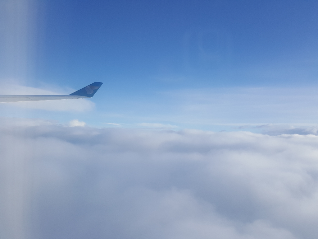 Section of an air plane wing, extending from the bottom left corner towards the center, slightly angled upward.  The wing is predominantly white, with a subtle, muted blue logo or marking near its tip. The wing itself is clean and smooth, reflecting the sky faintly. There are no people visible. The wing's position suggests the plane is in flight, high above a cloud layer. The background is a vast expanse of fluffy, white cumulus clouds that fill the lower two-thirds of the frame, extending to the horizon. These clouds are softly textured, with varying densities creating subtle shifts in tone and luminosity. The top third of the image is a clear, bright blue sky, transitioning gradually from a deeper, saturated blue at the zenith to a lighter, almost pastel blue near the cloud layer. The lighting is soft and diffused, suggesting natural daylight with minimal harsh shadows. The overall colour palette is serene and calming, dominated by soft whites, light blues, and hints of muted gray in the clouds.