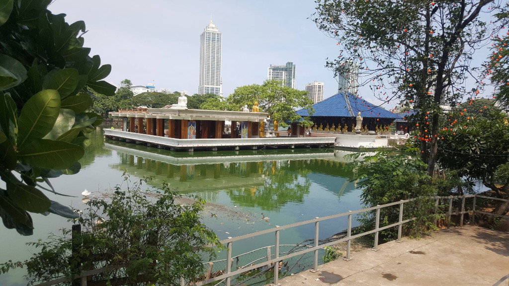 Serene, rectangular pond reflecting a temple complex. The temple consists of two main structures: a smaller, lighter-coloured pavilion with several golden Buddha statues on its roof and a larger, darker-roofed building with a distinct blue-tiled roof. This larger structure also displays numerous golden Buddha statues. The buildings are connected by a walkway. Several white-robed figures are subtly visible within the pavilion but lack significant detail. The pond itself displays murky, greenish water with some debris visible near the edges. A single white bird (possibly a swan or egret) is discernible on a patch of land protruding from the water's edge.