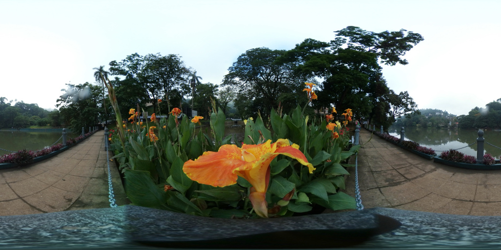 Vibrant, intensely orange and yellow Canna lily, positioned slightly off-centre towards the bottom third of the frame.  Its petals are a striking blend of fiery orange and sunny yellow, with delicate, almost translucent edges. The flower is in full bloom, its petals unfurled in a dramatic, almost theatrical display. Surrounding this central flower is a lush bed of other Canna lilies, a mix of oranges, yellows, and hints of red, all displaying various stages of bloom, creating depth and a sense of lively growth. The lilies are planted along a paved walkway that curves gently around a calm body of water. The walkway is flanked by low stone walls and metal railings. There are no people visible in the scene.