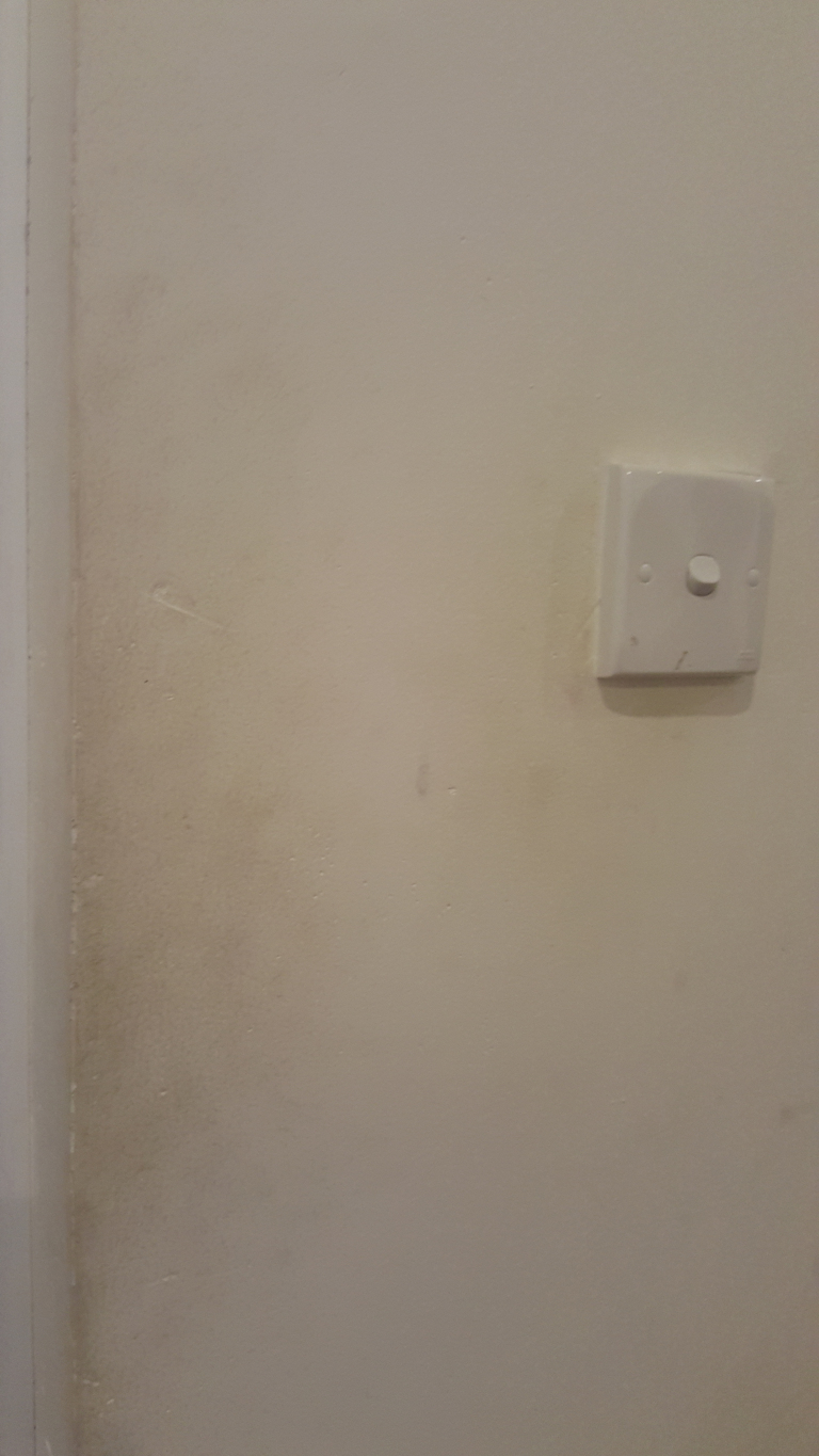 Wall dominates the frame, exhibiting a subtly textured surface with a matte finish. Its colour is a pale, creamy beige, suggestive of painted drywall or plaster. Several faint, irregular discolouration patches are noticeable, predominantly concentrated on the left-hand side, appearing as light brown or greyish smudges, possibly water stains or age-related discolouration. A slight corner of another wall is visible on the far left, forming a clean, sharp 90-degree angle. A rectangular light switch, off-white in colour and with a slightly glossy surface, is centrally positioned on the right side. The switch plate displays a simple, unadorned design, with a centrally placed button. The setting appears to be an interior wall within a residential or institutional building. The background is uniformly the wall itself, devoid of any other elements. The lighting is even and diffused, lacking harsh shadows or highlights, suggesting either ambient indoor lighting or soft, indirect light. The colour palette is muted and neutral, consisting primarily of shades of off-white and pale beige. The discolouration on the wall introduces a slightly warmer, brownish tone in localised areas.