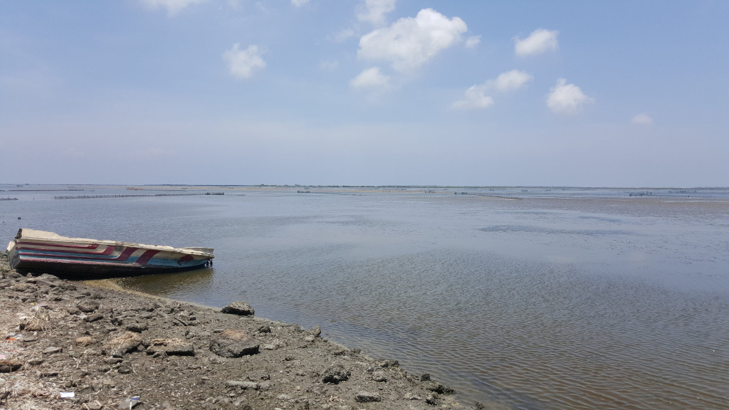 Weathered, partially dilapidated boat, resting on a muddy shore. It's positioned slightly off-centre to the left, angled towards the viewer. The boat is predominantly off-white or light beige, with faded red and possibly blue stripes along its hull. It appears abandoned and neglected, showing signs of wear and tear. There are no people present in the image. The scene is a tranquil, coastal landscape under a pale blue sky dotted with fluffy white cumulus clouds. The background features a calm, shallow body of water stretching to the horizon, where a low-lying landmass is visible. This landmass appears flat and potentially marshy, with subtle hints of dark green vegetation. In the mid-ground, thin, dark lines suggest structures in the water, possibly aquaculture or fishing installations. The shore is a textured mixture of mud, small stones, and rocky debris.
